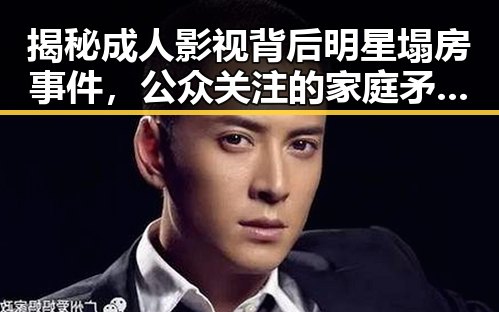 揭秘成人影视背后明星塌房事件，公众关注的家庭矛盾与娱乐内幕的反差